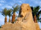 Египет: отдых на море целый год!  ⎯ услуга компании ««Центр туризма»»